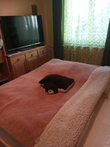 Chotesov House | Patro u Madly