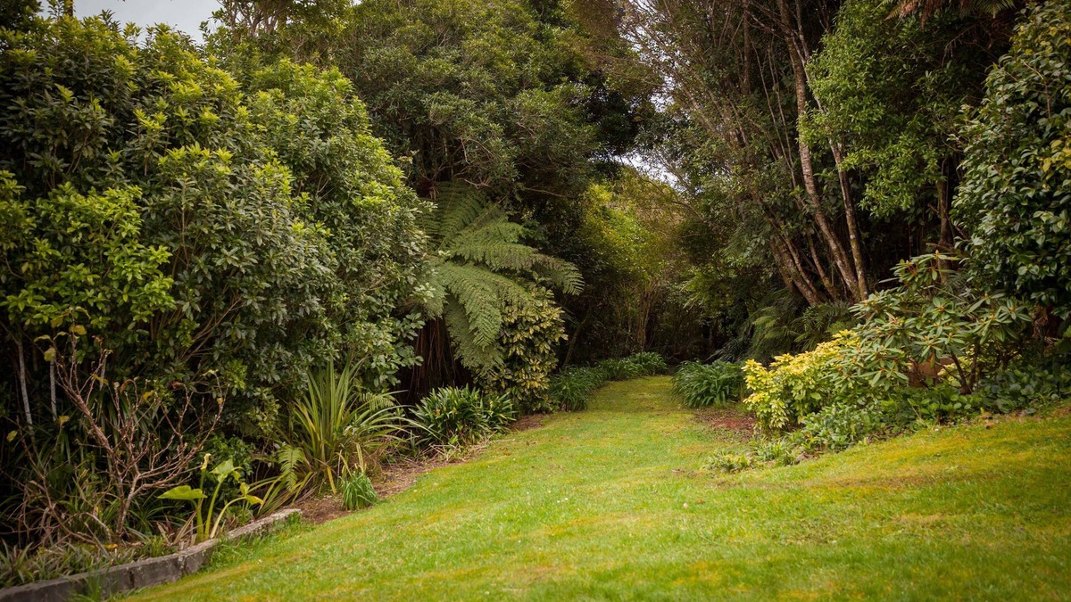 Pitone Bed & Breakfast | Patuha Rainforest Retreat