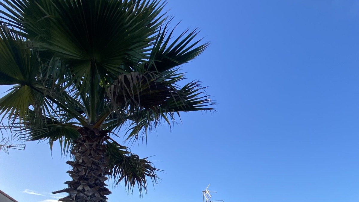 Valras-Plage Cabin | Pavilion 6 people, parking, shared swimming pool, lou portalou n°105