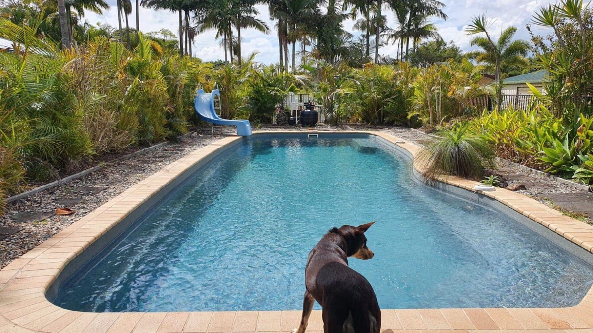 Ningi House | Peace and Tranquility by the pool