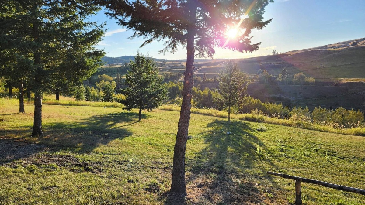 Oroville Cabin | Peace of Mind