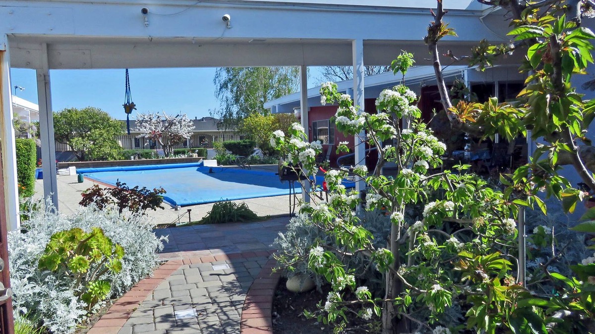 East San Jose Apartment | Peace & Quiet Above Silicon Valley