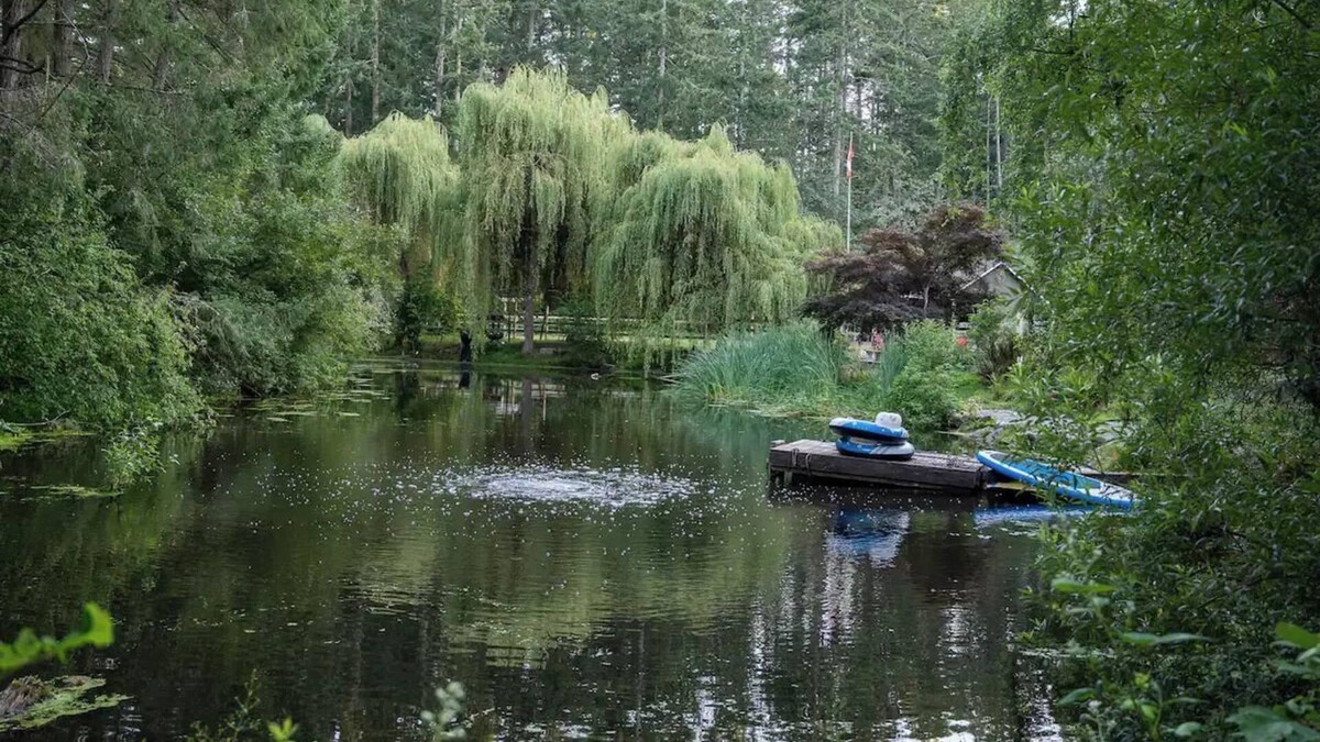 North Saanich House | Peaceful 1 BR Hideaway on 1 Acre w/Pond, Near Ferry, Airport & Nature