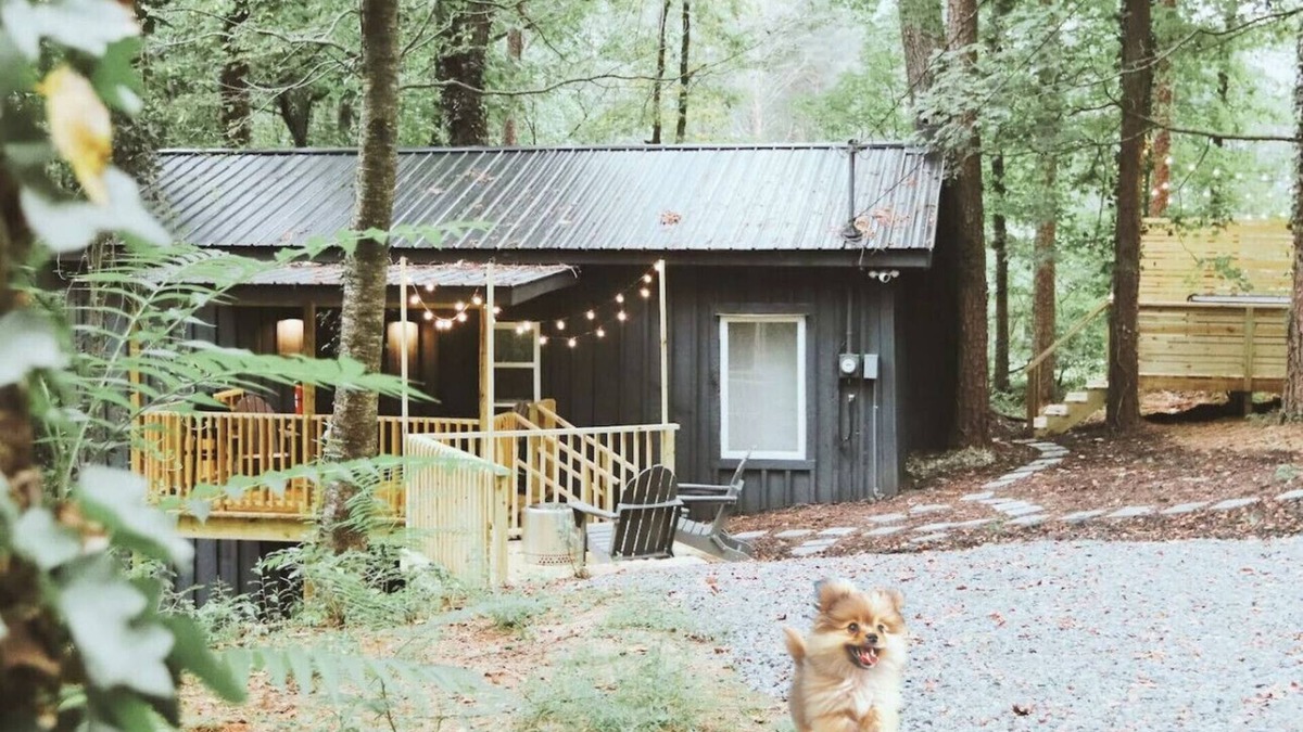 Ellijay Cabin | Peaceful 1br Cabin | Hot Tub | Pets Welcome!