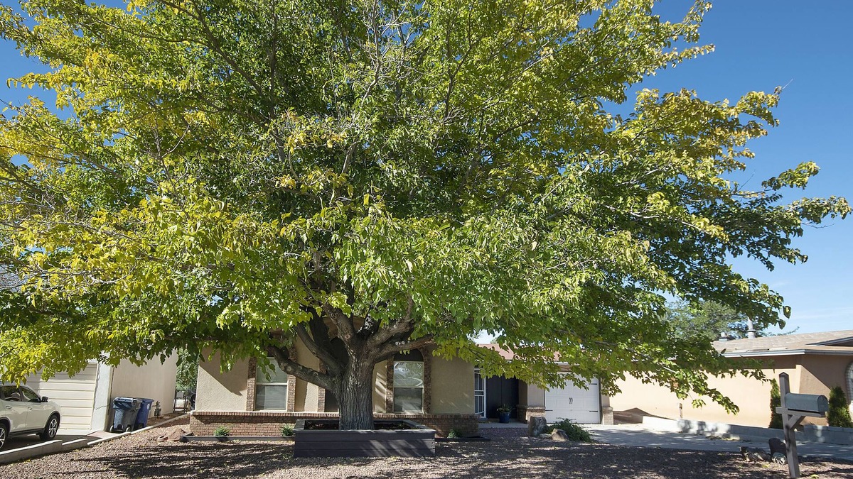 Northeast Heights House | Peaceful 3-bedroom near the Albuquerque Foothills