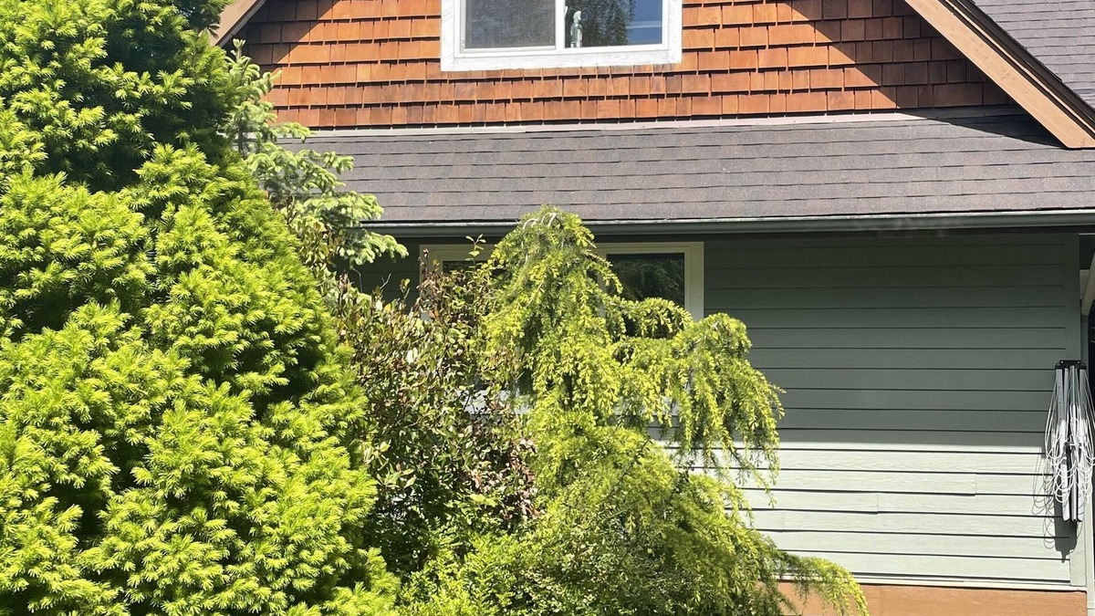 Campbell River Apartment | Peaceful and quiet location, rural setting in town