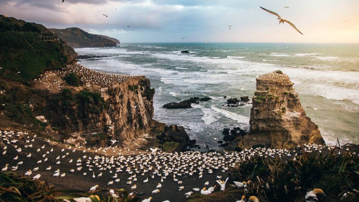 Muriwai Cottage | Peaceful cedar Cottage - 3 minutes to Muriwai Beach