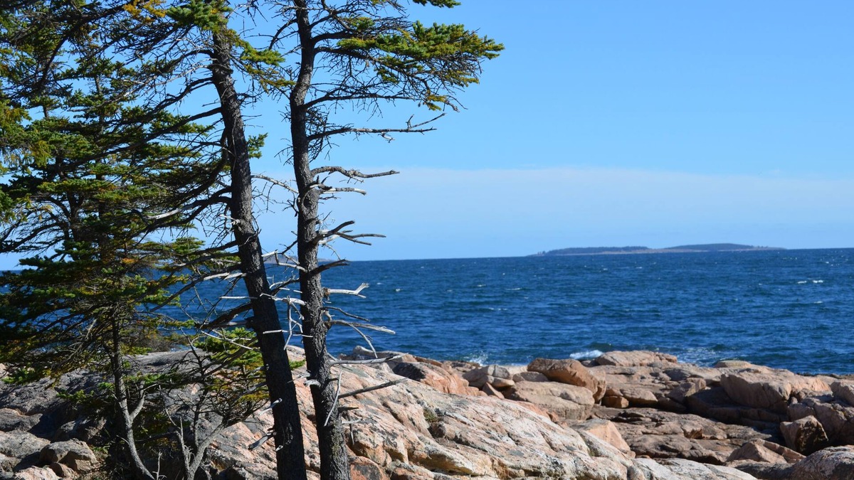 Hall Quarry House | PEACEFUL/Charming home/Dog Friendly/enjoy nature & wildlife/central location