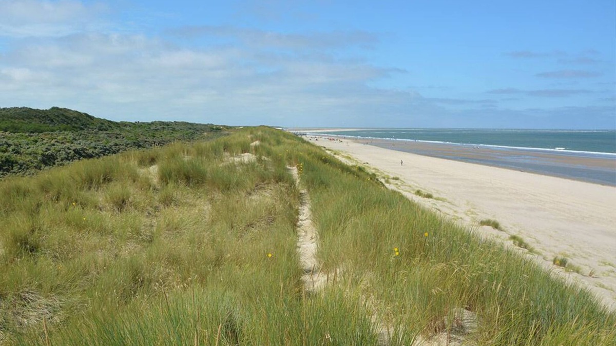 Renesse Hotel | Peaceful Family Getaway w/Dining - nearby Local Attractions, Beach Escape