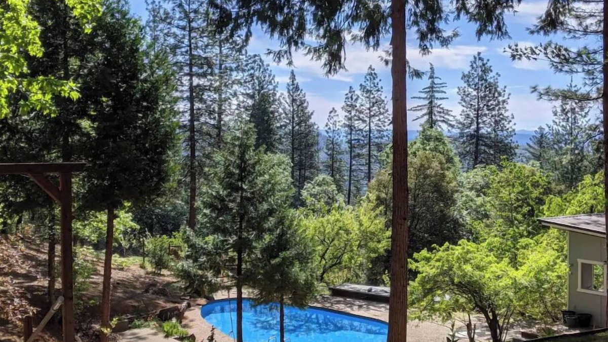 Cedar Ridge House | Peaceful Forest Retreat w/Pool, Game Room, EV Charger. Pet friendly!