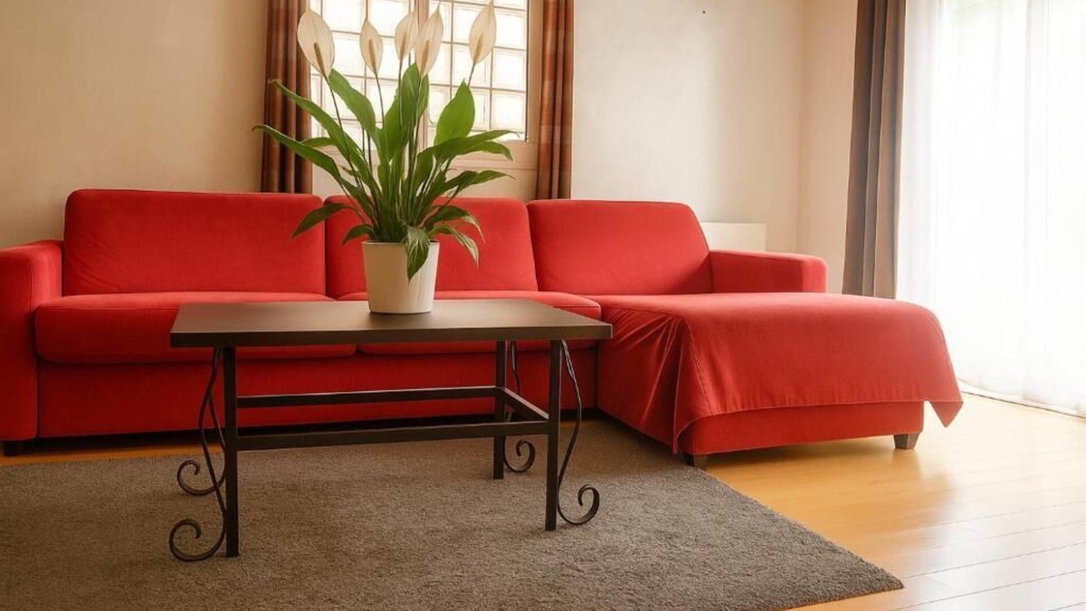 Aulnay-sous-Bois House | Peaceful heaven near Paris