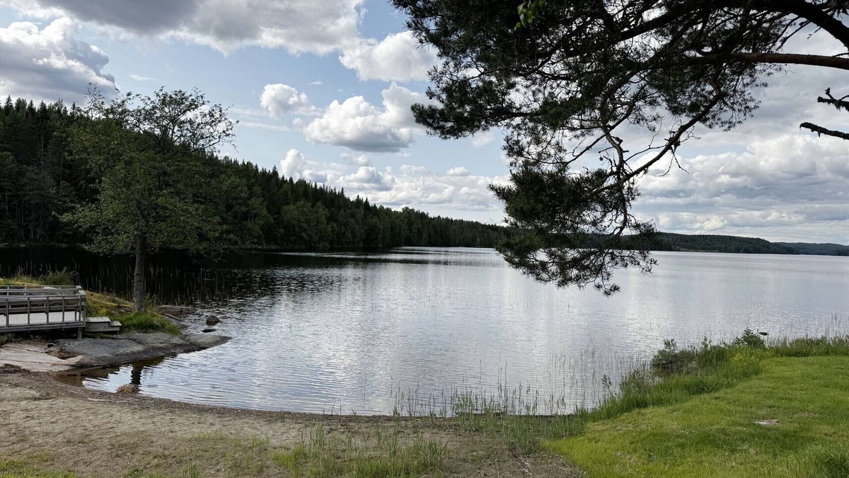 Skillingsfors Ski Chalet | Peaceful holiday home in Skillingsfors, close to nature |SE18033