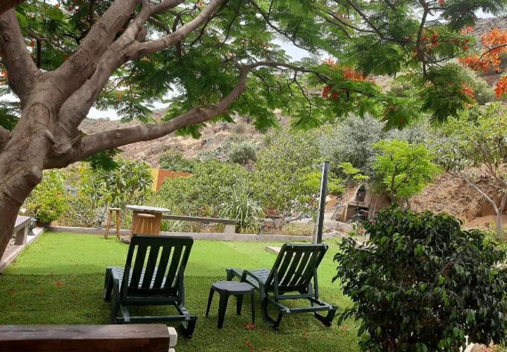 Valsequillo de Gran Canaria House | Peaceful house set on a vineyard & work friendly