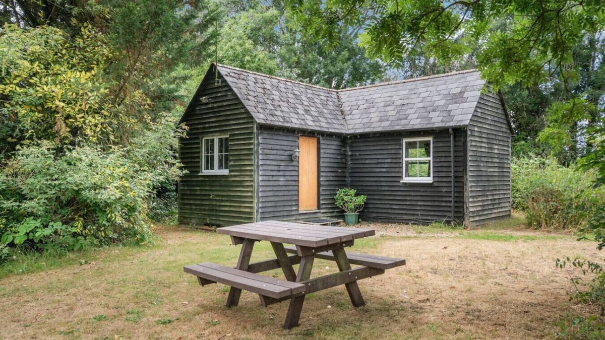 New Forest District Apartment | Peaceful lodge in the New Forest