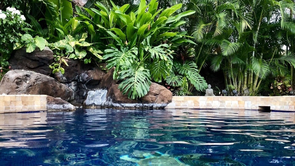 'Aina Haina House | Peaceful Luxury Home, pool, gourmet kitchen. Text 808-781-1741 for availability