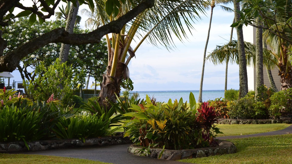 Ualapue Condo | Peaceful Ocean View. Ground Floor. Classy, clean and quiet.