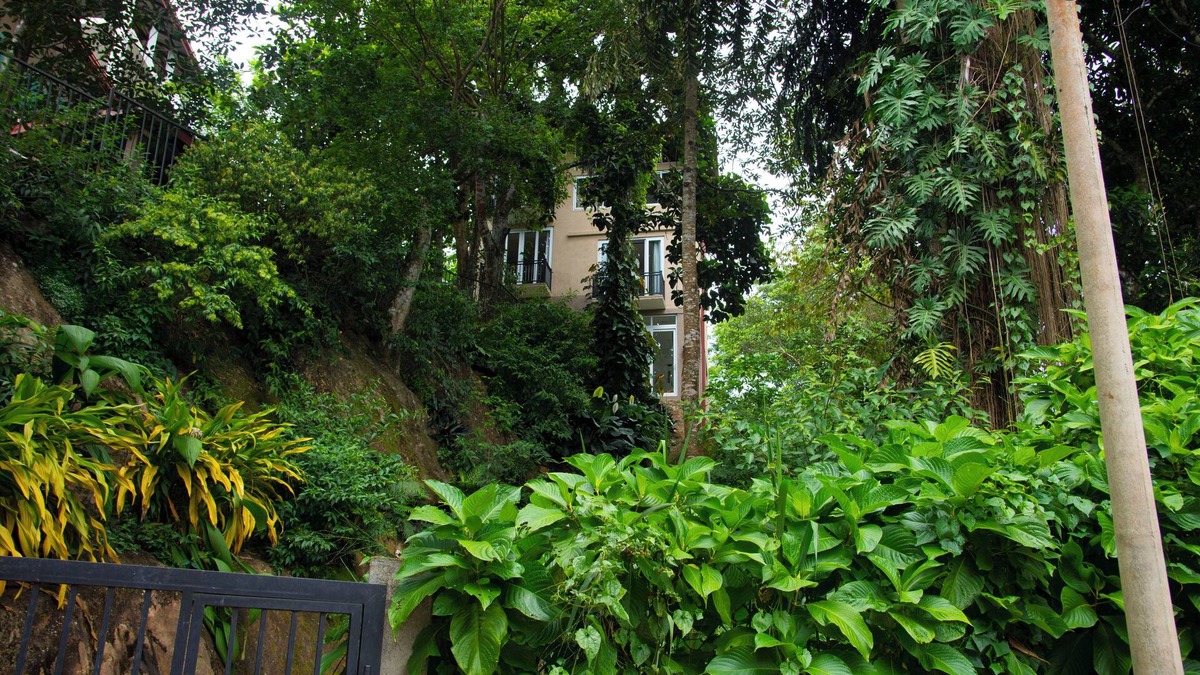Kandy House | Peaceful Peak
