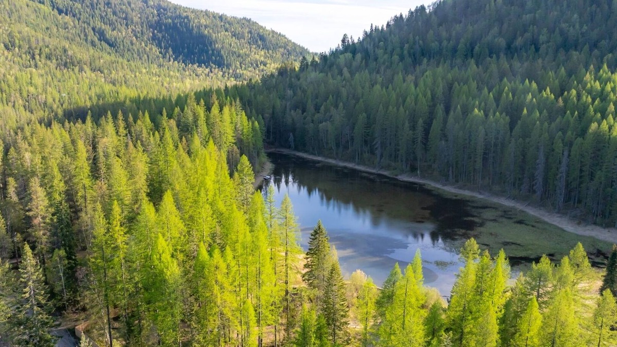 Columbia Falls House | Peaceful Relaxing Astrid Log Cabin