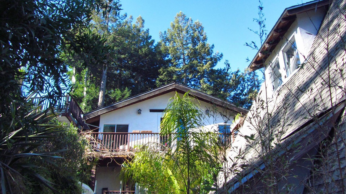 Mill Valley Villa | Peaceful Retreat Compound Part or All, $1500 to $3100 per night.