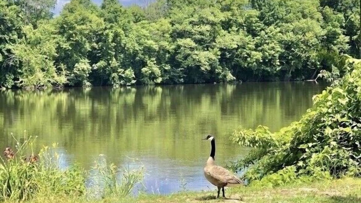 Benton Harbor House | Peaceful River House steps to River! House equipped for children!
