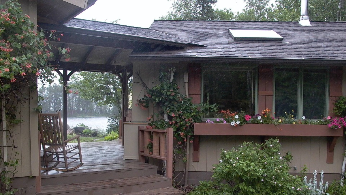 Cook Cabin | Peaceful Setting, Perfect For Your Vacation Get-away. Sauna. Pet-friendly.