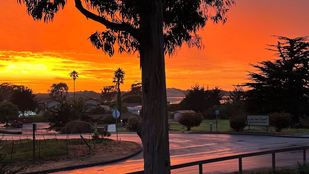 Baywood-Los Osos Apartment | Peaceful Suite by the Bay Pet-Friendly