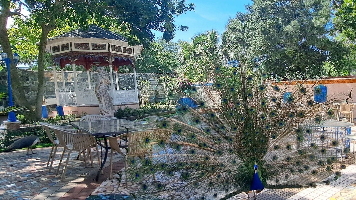 Fort Pierce House | Peacock Estate: botanical gardens, art galleries, 1min to downtown, 5 to beach