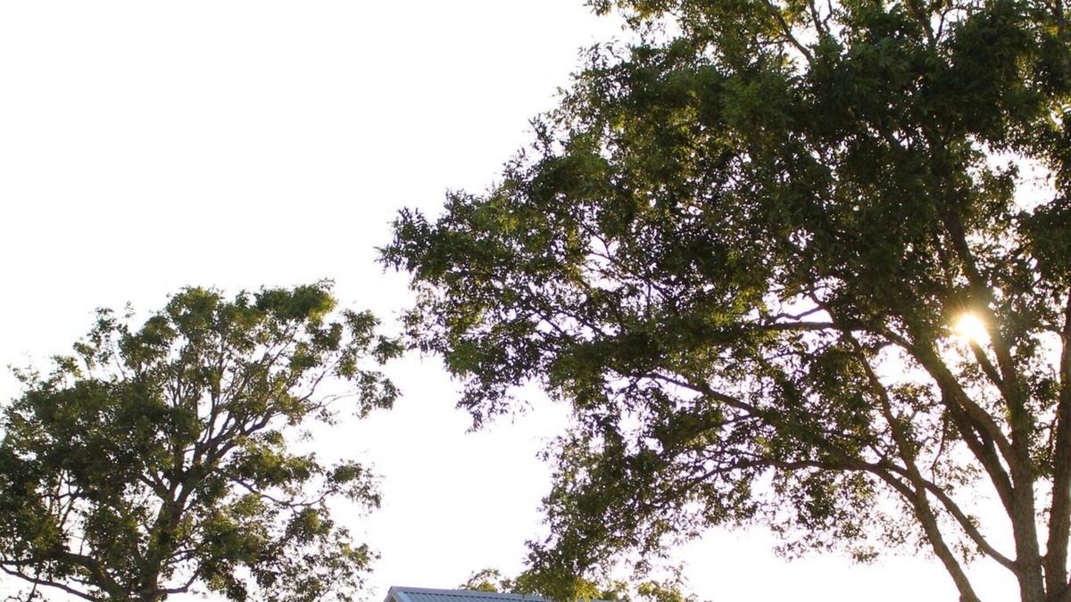 Burton Other | Pecan Tree House - Short drive to Round Top