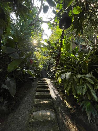 Kandy House | Pekoetrails Hantana Homestay