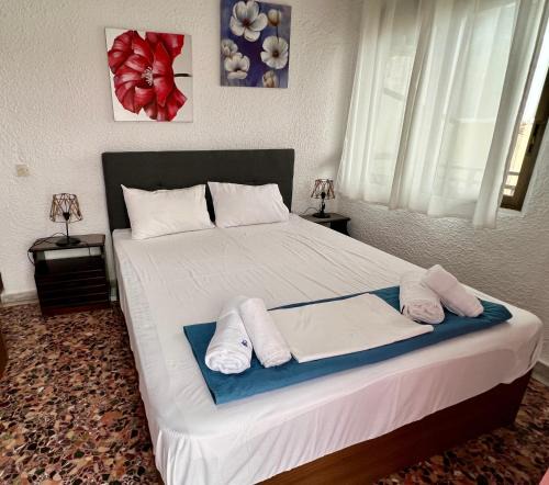 Pefkochori Hotel | PELEKAN rooms and apartments Athina 33
