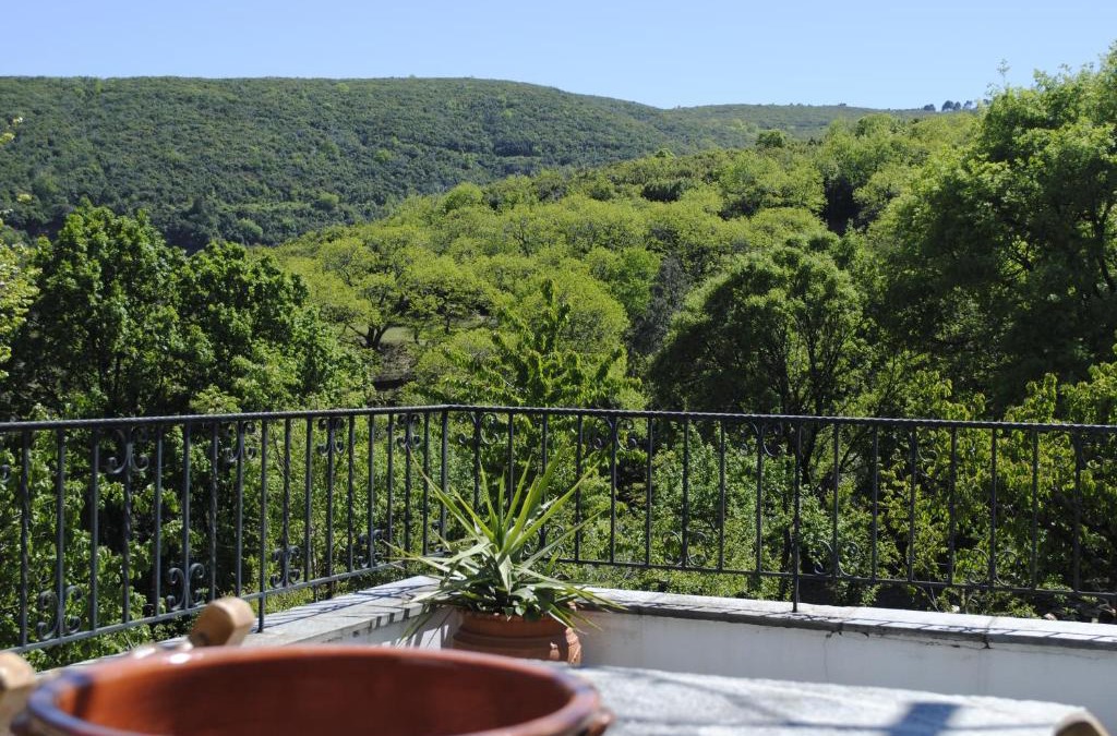 Lambinou Apartment | Pelion, Sun House