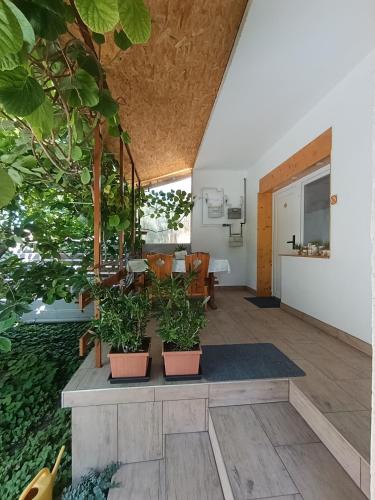 Balatonkiliti Apartment | Pelso Holiday Apartments Hóvirág
