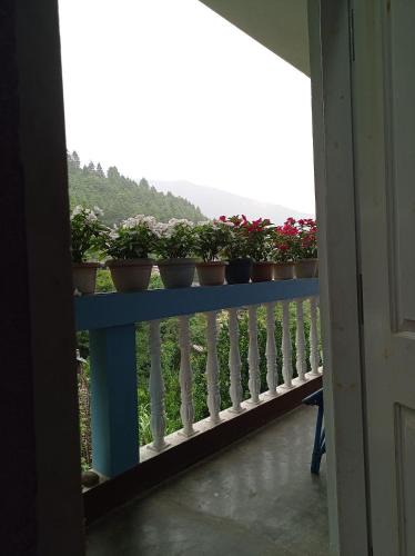 Dirang House | Pema HOMESTAY