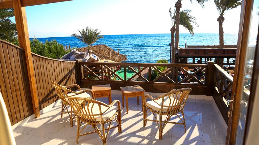 Dahab Hotel | Penguin Village Dahab