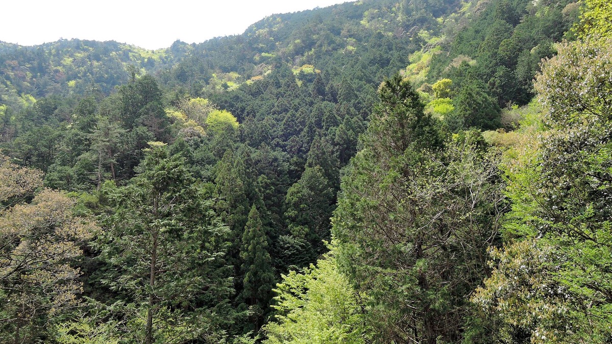 Shinshiro House | pension AKA-TOMBO