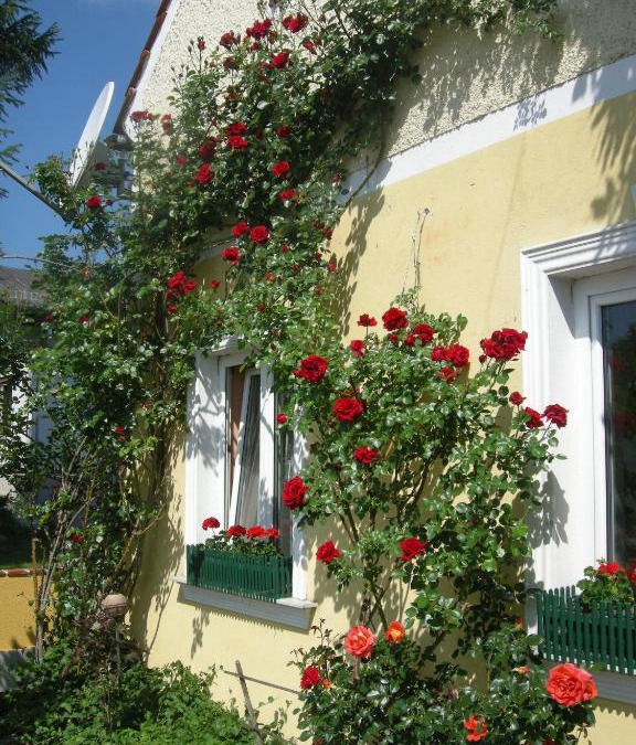 Unterpremstaetten House | Pension Arkadenhof