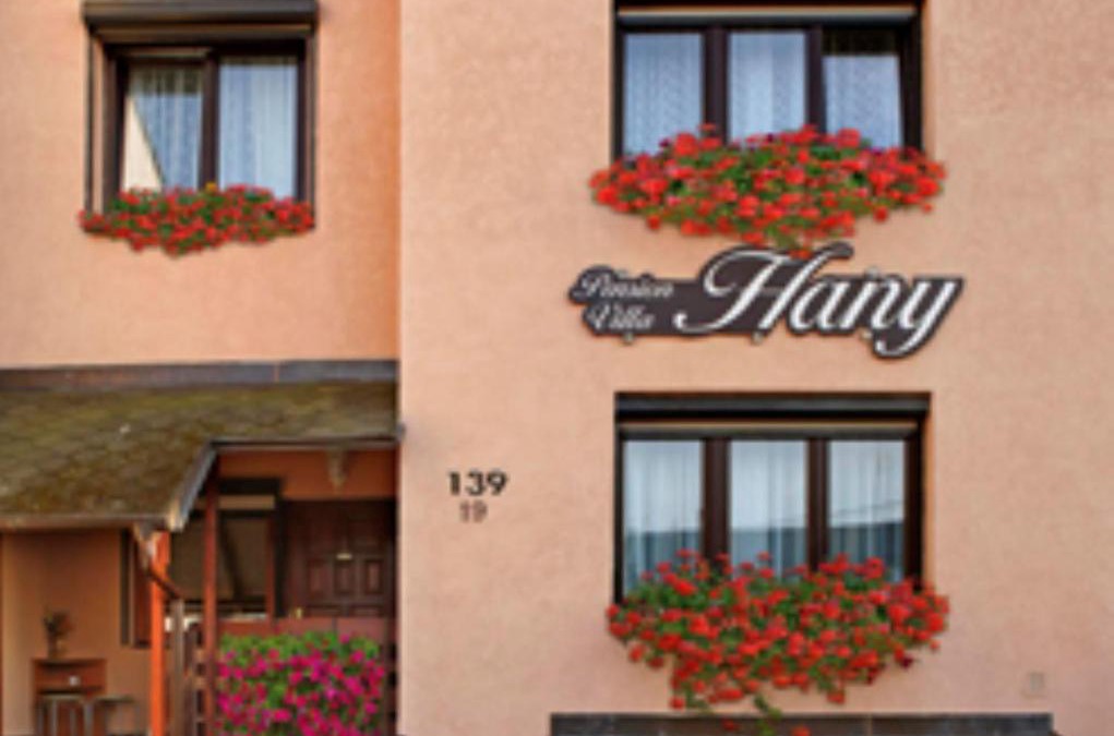 Marianske Lazne House | Pension Villa Hany