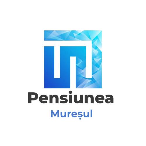 Tirgu Mures House | Pensiunea Muresul