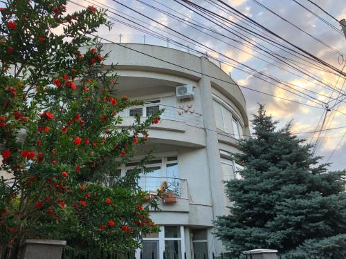 Constanta House | Pensiunea Pont-Euxin