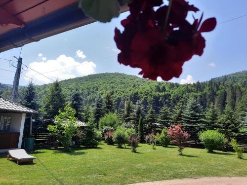 Putna House | Pensiunea Putnisoara