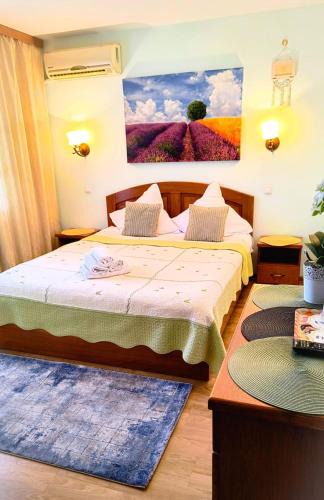 Douazeci si Trei August Hotel | Pensiunea Roșu Litoral