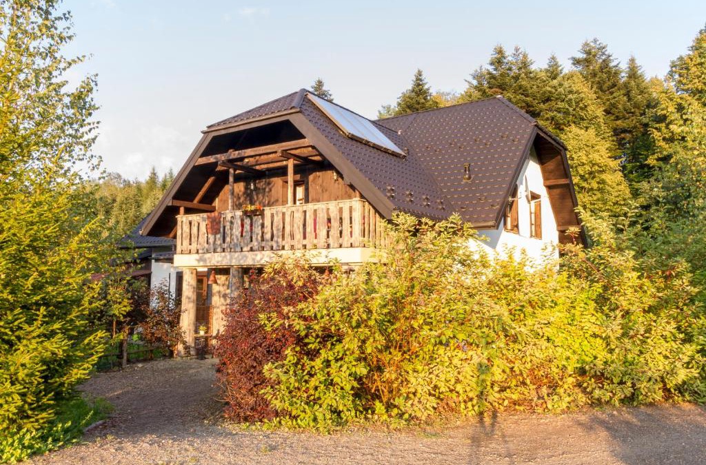 Ustrzyki Dolne Apartment | Pensjonat BezTroski