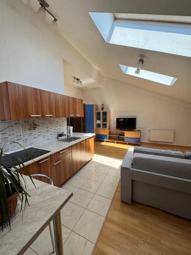 Chisinau Apartment | Penthouse by the park
