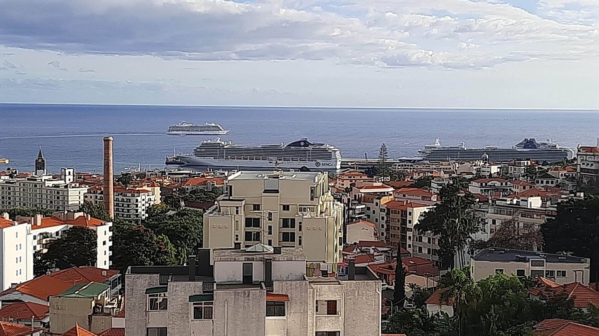 Santa Luzia Apartment | PentHouse in Funchal Sea View