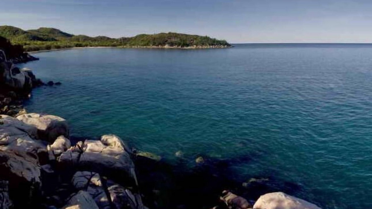 Nelly Bay Apartment | Penthouse on Bright Point