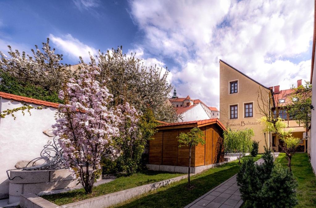 Mikulov House | Penzion Baltazar Mikulov
