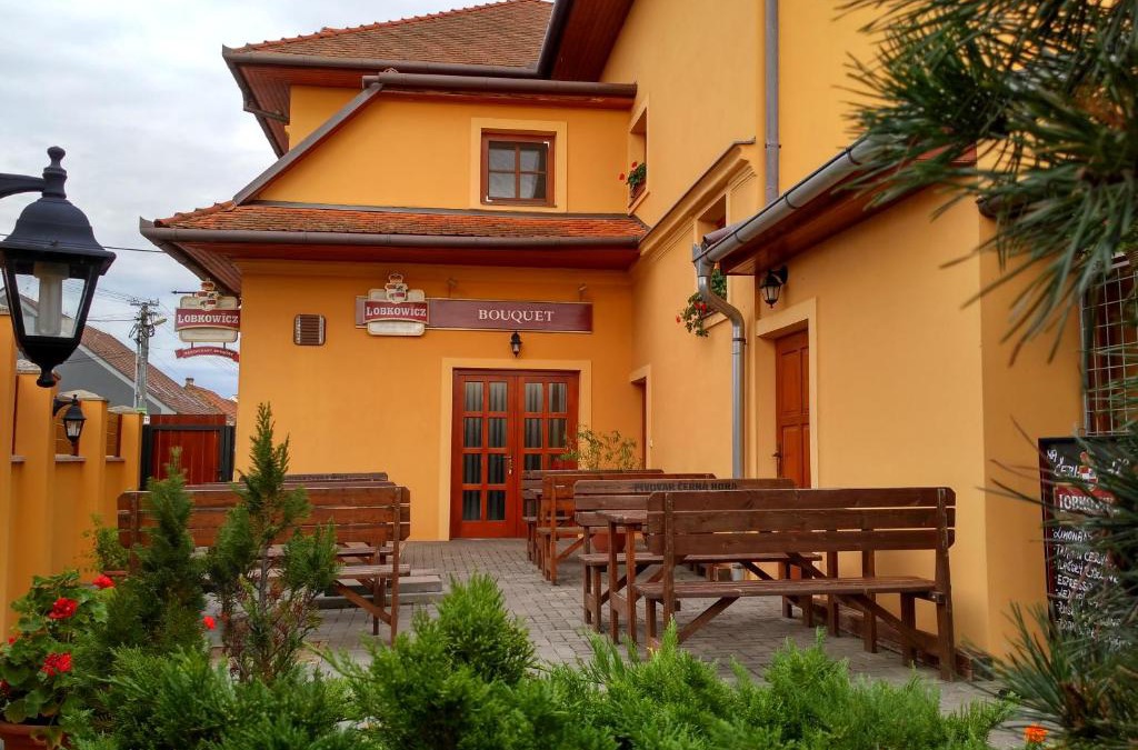 Horni Vestonice House | Penzion Bouquet
