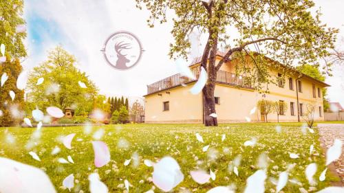 Podebrady House | Penzion Flídr