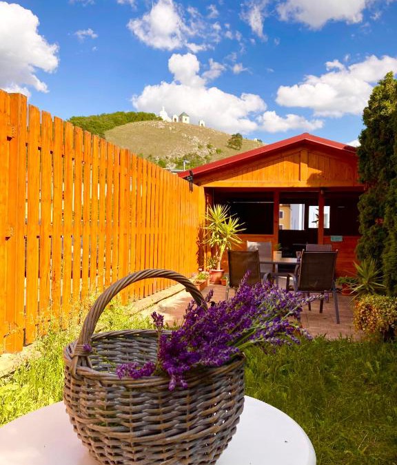 Mikulov House | Penzion Moravia - free parking in the city center