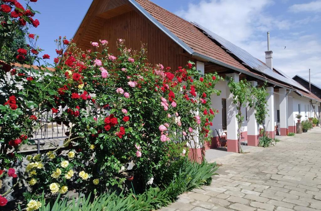 Veseli nad Moravou Apartment | Penzion Na výminku